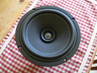 tangband coax.JPG