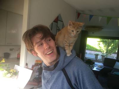 image.jpg