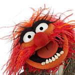 animal_muppet.jpg