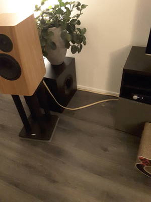 20160215_223050.jpg