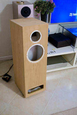 Kast in de fineer