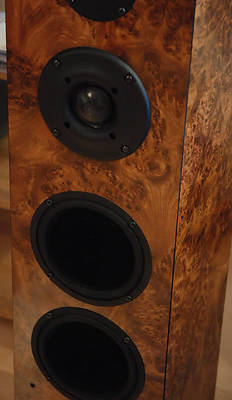 bestandsbron: http://i107.photobucket.com/albums/m287/notusemyname/Pied%20Piper%20Speaker/DSC_1486.jpg