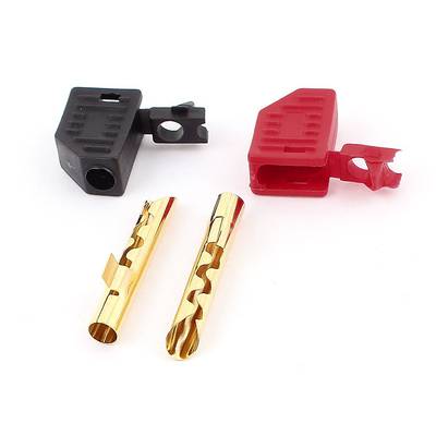 61e20Qs+8jL._SL1100_.jpg