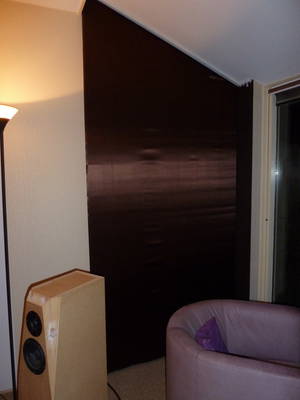 dempingspaneel woonkamer.JPG
