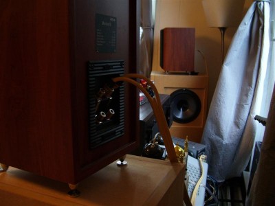 Copy of Vox 019 (Medium).jpg