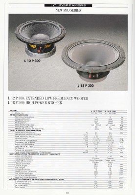 LAN L300 RCF L18P300.jpg