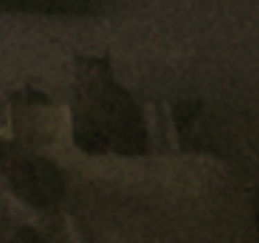 kat.PNG