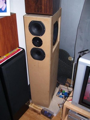 Vox 029 (Medium).jpg