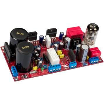 yuan-jing-dual-lm3886-gainclone-amplifier-board-with-6n11-tube-preamplifier-68-watts-x-2_12171660.jpeg