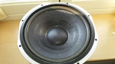 Visaton WS 33 NG