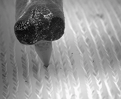 interesting-Slow-Motion-Video-electron-microscope-closeup-pictures-1.gif