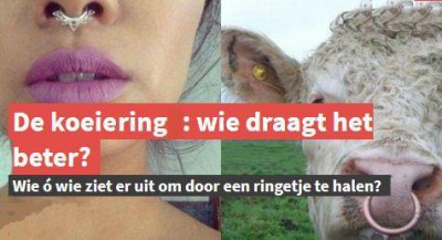 ring.jpg