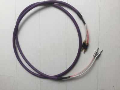 Oud (WBT)