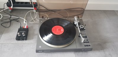 20190526_145012.jpg