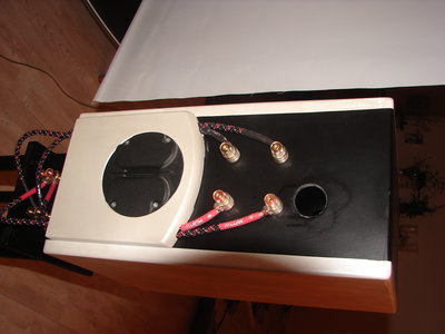 DSC06125.JPG