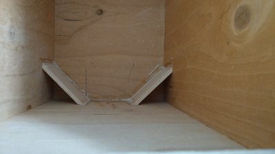 IMG_20191020_120553.jpg