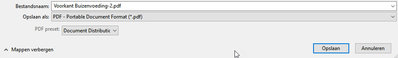 Publish to pdf-2.jpg