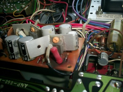 closeup 003.JPG