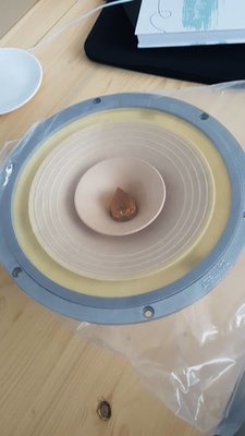 10 inch 01.jpg