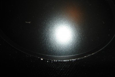 DSC02653.JPG
