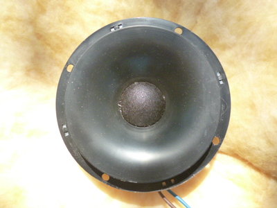P1050024.JPG