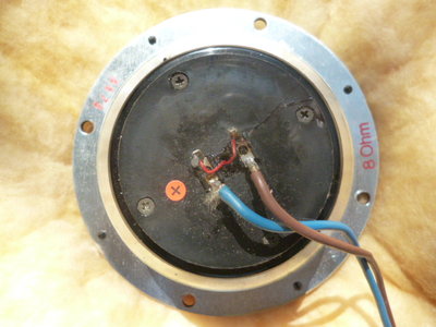 P1050025.JPG