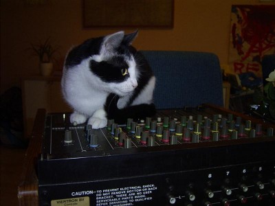 DJ Cat is in tha house!