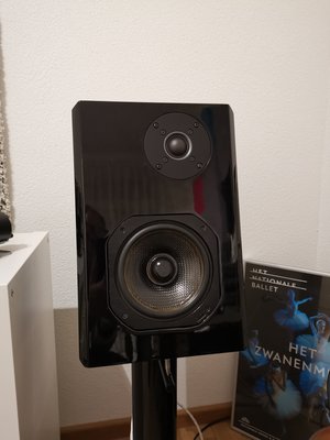 IMG_20201206_175026.jpg