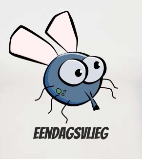 eendagsvlieg.jpg