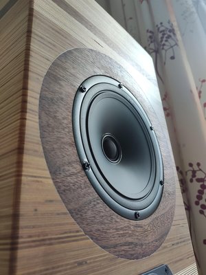 SEAS speakers.jpg