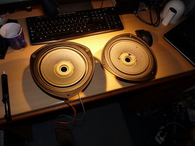 P1080087.JPG