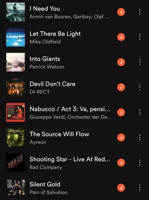 Screenshot_20210418-133333_Spotify.jpg