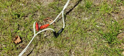 IMG_20210601_135608.jpg