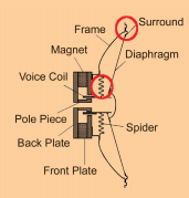 suspension distortion 2.png