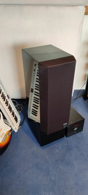 IMG_20210612_160748.jpg