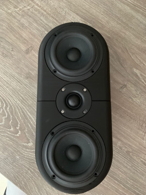 TweeterWoofer_maat.jpg