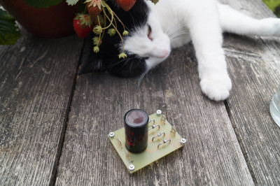 DSC08574.JPG