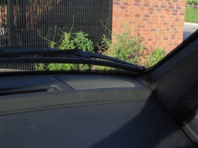 IMG_0135_2.jpg