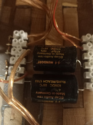 IMG20230110203726.jpg