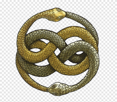 png-clipart-gold-and-silver-snakes-illustration-the-neverending-story-falkor-atreyu-auryn-story-scaled-reptile-boa-constrictor.png