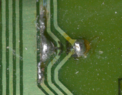 IMGP3550_crop.jpg