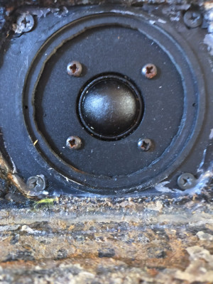 8212e06f-adb2-497d-8bc0-e02b9f5b58b7.jpg