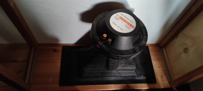 IMG_20230918_191356.jpg