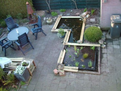 tuin.jpg