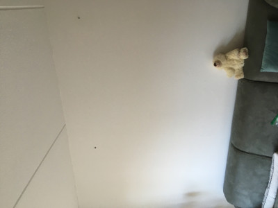 9AB064D7-5BC5-4F83-B52F-53816D5CD035.jpeg