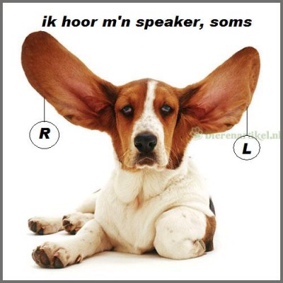 beter horen.jpg