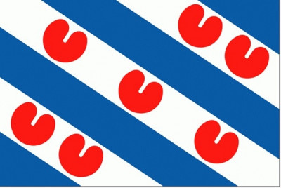 friese vlag.jpg