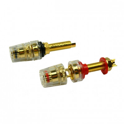 0001273_high-end-geisoleerde-vergulde-luidsprekerpluggen-set_580.jpeg