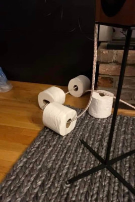 knipsel.jpeg