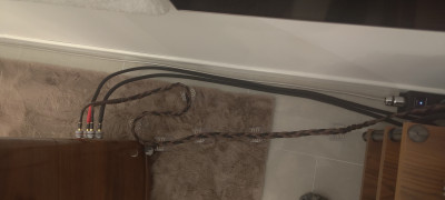 IMG_20241228_065957.jpg
